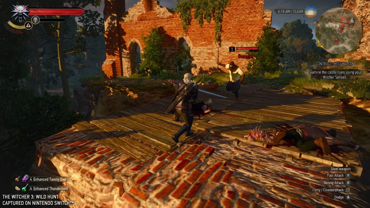 The Witcher 3: Wild Hunt Nintendo Switch™