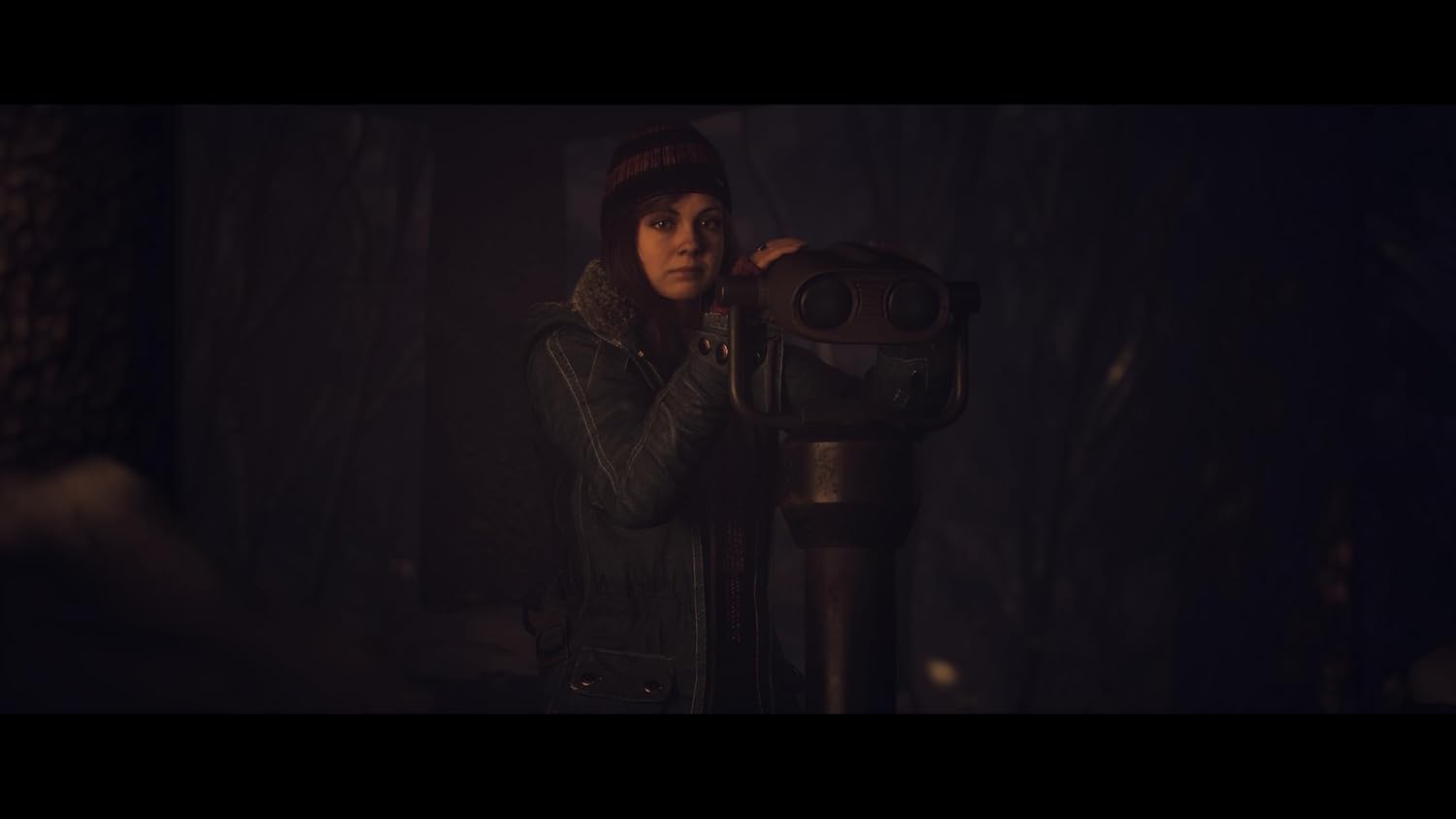Until Dawn PS5®