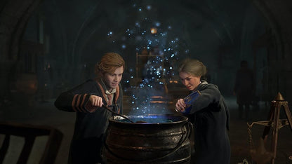 Warner Bros. Hogwarts Legacy PS5®