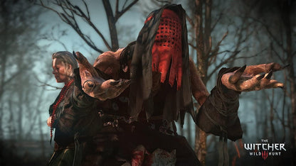The Witcher 3: Wild Hunt Nintendo Switch™