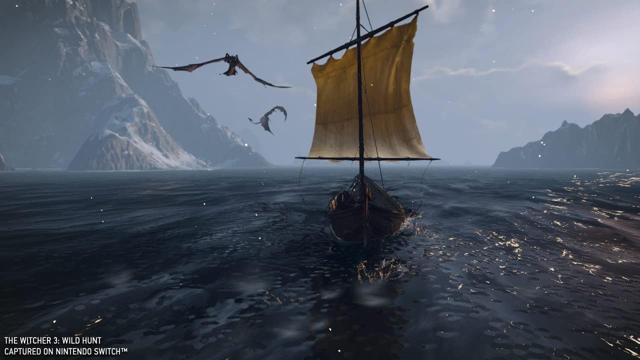 The Witcher 3: Wild Hunt Nintendo Switch™