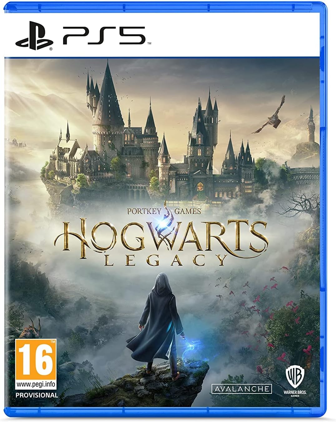Warner Bros. Hogwarts Legacy PS5®
