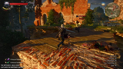 The Witcher 3: Wild Hunt Nintendo Switch™