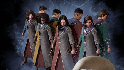 Warner Bros. Hogwarts Legacy PS5®