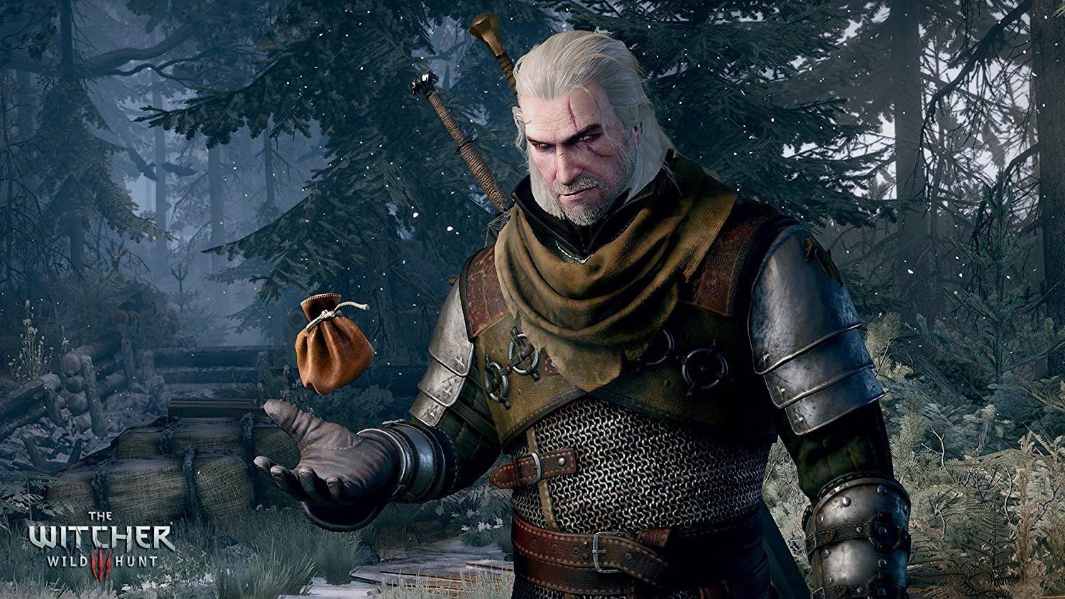 The Witcher 3: Wild Hunt Nintendo Switch™
