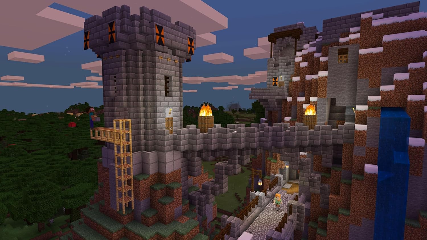Minecraft PS5®