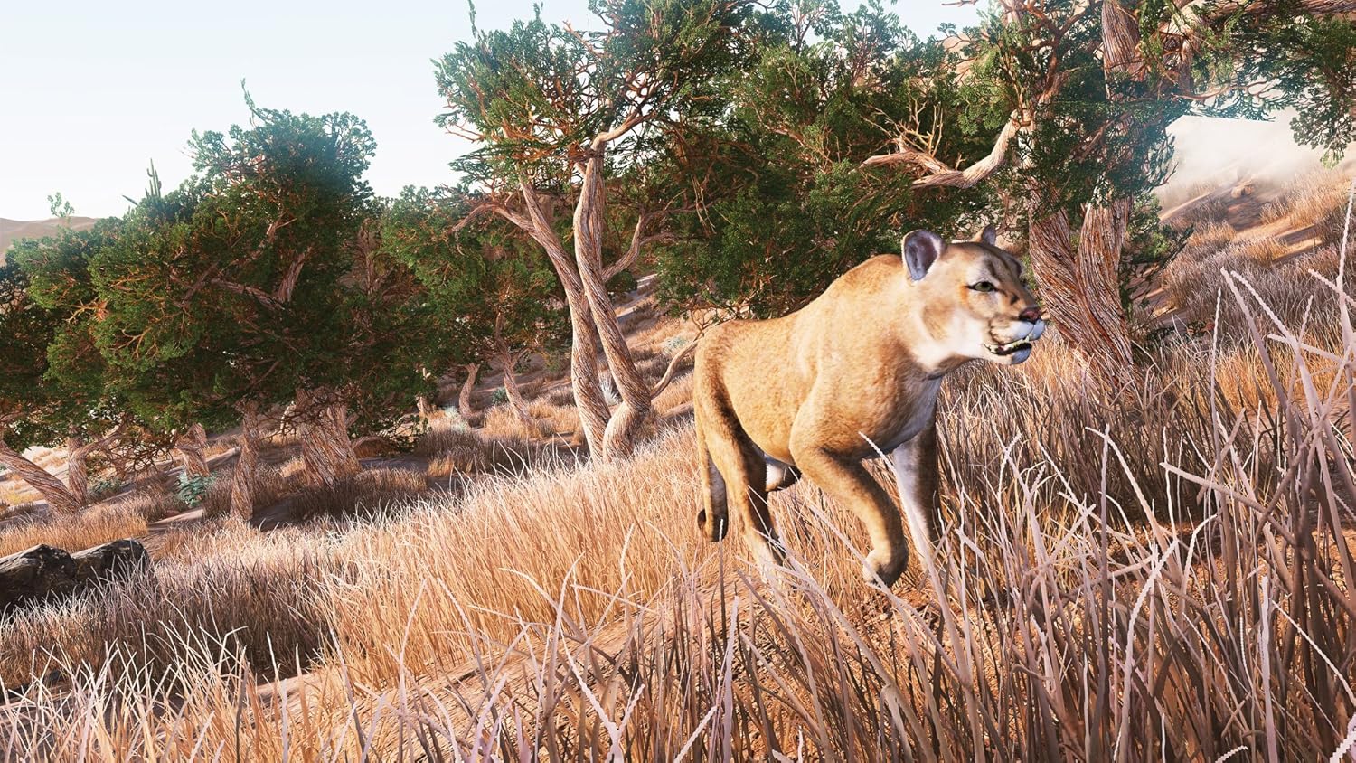 Hunting Simulator™ Nintendo Switch™