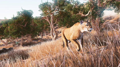 Hunting Simulator™ Nintendo Switch™